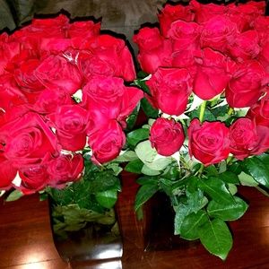 Meet your Posher, My spookie life